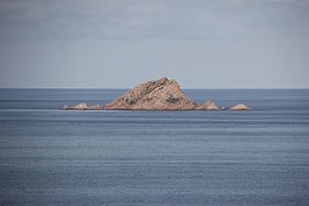 Île de Molarotto