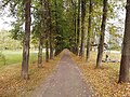 Old Kstovo Park - 2020-09-21 (2).jpg