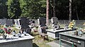 Old catholic cemetery in Pionki, 2019.07.25 (17).jpg