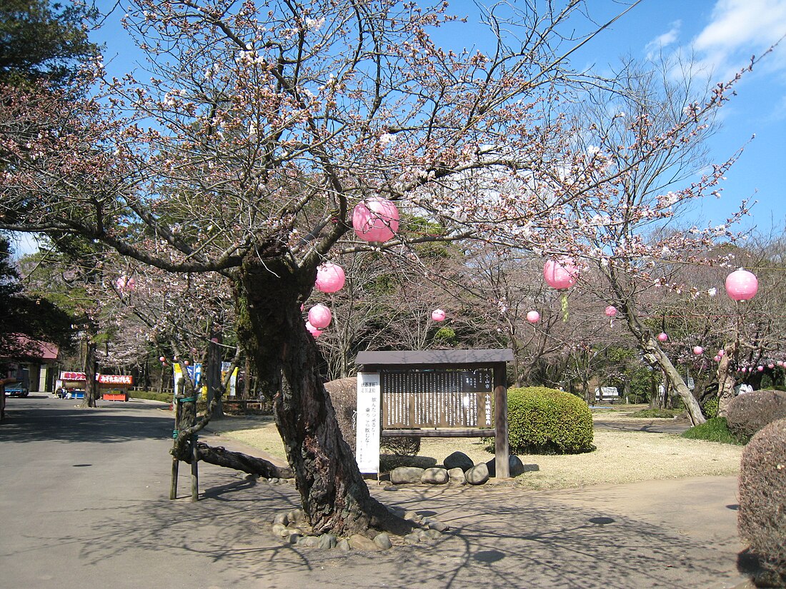 小山市