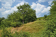 Čeština: Přírodní památka Brániska, okres Prostějov