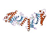 PDB 1umw EBI.jpg