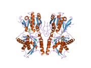 1yk1: structure of natriuretic peptide receptor-C complexed with brain natriuretic peptide