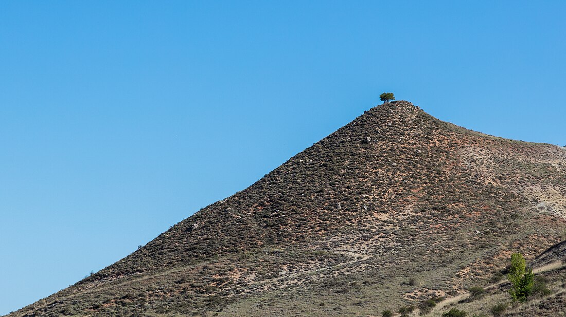 File:Paraje en Salinas de Medinaceli, Soria, España, 2017-05-23, DD 08.jpg