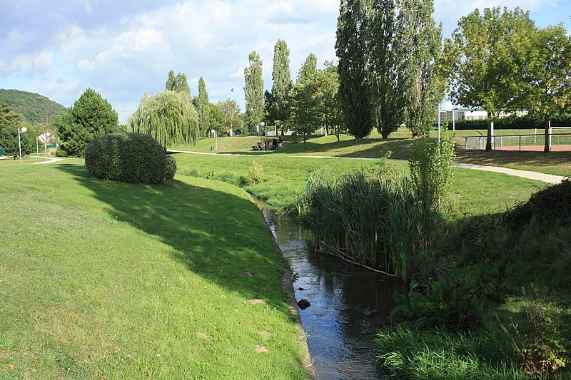 File:Parc des sports et des loisirs à Chevreuse en 2010 14.jpg