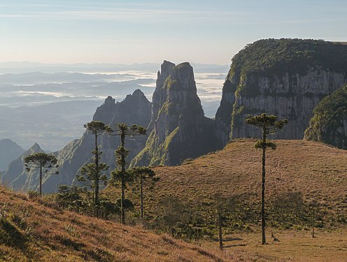 Parque Nacional de São Joaquim - Raphael Sombrio (03).jpg