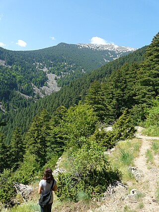 <span class="mw-page-title-main">Pelister National Park</span> National park in North Macedonia