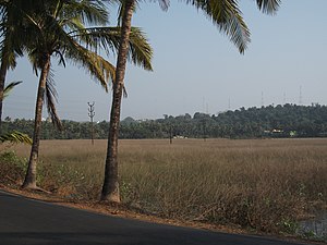 Kalapur