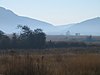 A waterbuck in morning mist in Pilanesberg Game Reserve