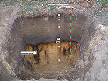 Profil eines Plaggeneschs: 40–50 cm Auflage über fossilem Podsol. Böden dieser Art finden sich vor allem bei Westerende, aber auch bei Ostersander und Westersander.