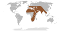 Range of the suborder Plesielephantiformes (extinct)