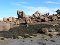 Granit am Strand von Ploumanac’h