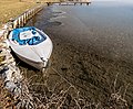 * Nomination Rowboat at the Edelweiß lido on main street, Pörtschach, Carinthia, Austria --Johann Jaritz 03:16, 18 February 2017 (UTC) * Promotion Very good. -- Ikan Kekek 06:57, 18 February 2017 (UTC)