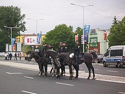 ...także na koniach...