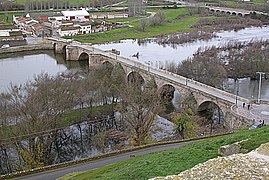Pont romain sur Águeda