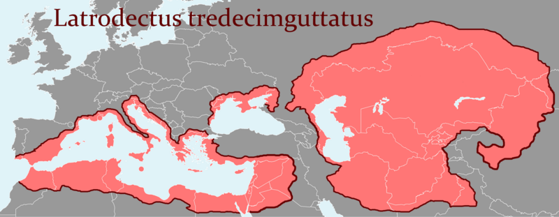 File:Population area of the Latrodectus tredecimguttatus.png