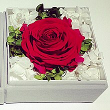 Une rose rouge, entourée de fleurs blanches et de feuillage