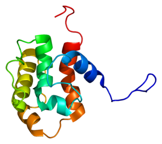 <span class="mw-page-title-main">MICAL3</span> Protein-coding gene in the species Homo sapiens