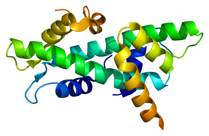 File:Protein NFYC PDB 1n1j.png
