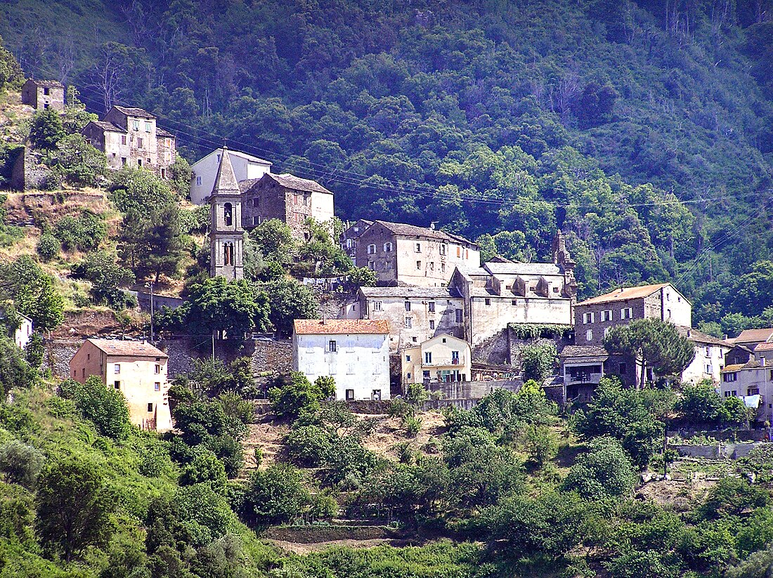 Prunelli di Casacconi