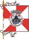 پرچم Montemor-o-Novo