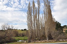 Río Fortes