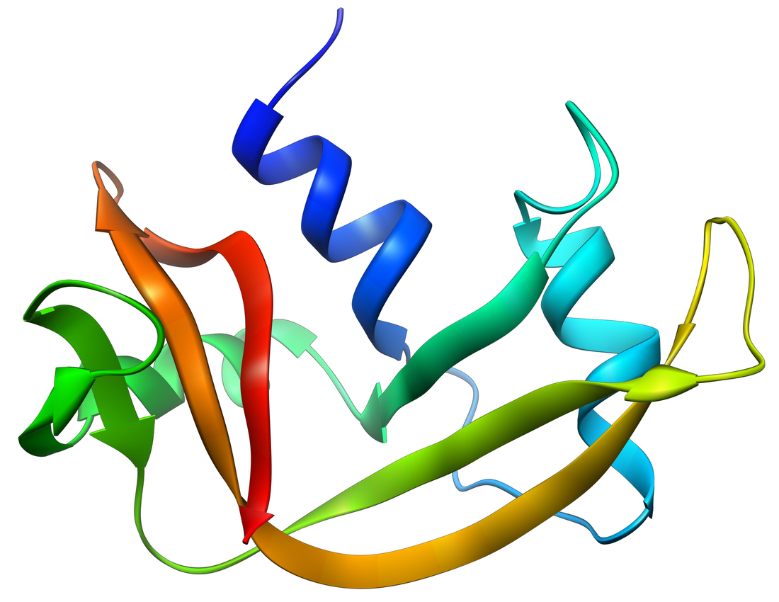 Ribonuclease