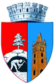 Baia Mare - Wappen