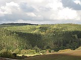 Čeština: Lesy v okolí Rabštejna nad Střelou. Okres Plzeň-sever, Česká republika.