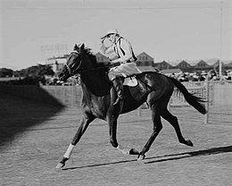 Racehorse Young Idea ridden by jockey J. Pratt at Randwick, New South Wales, 24 April 1935..jpg