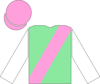 <span class="mw-page-title-main">Twice Over</span> British-bred Thoroughbred racehorse