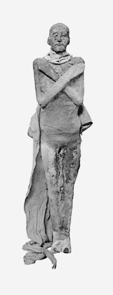 File:Ramses III mummy.png