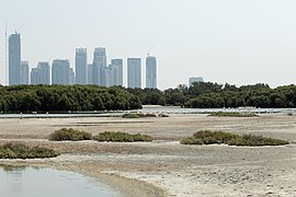 Ras Al Khor