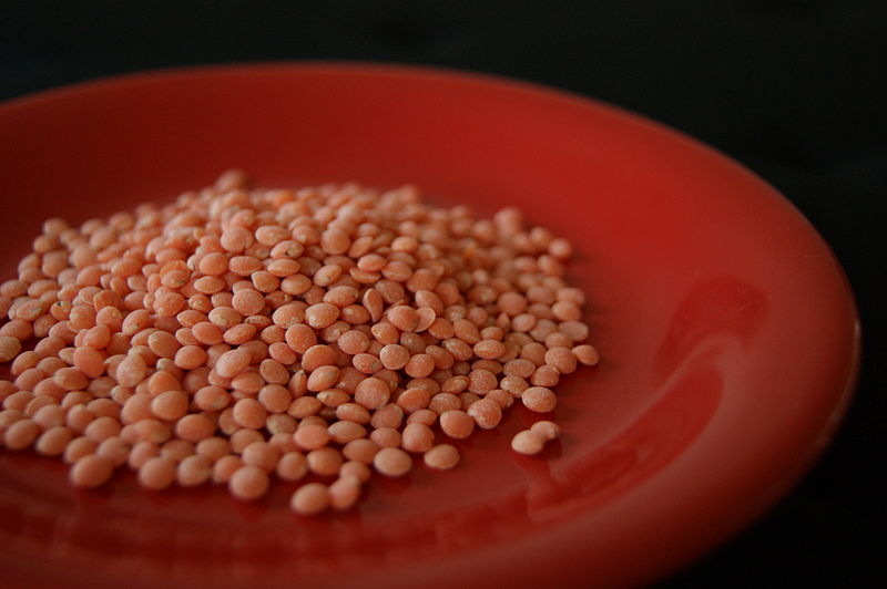 File:Red plate red lentils.jpg