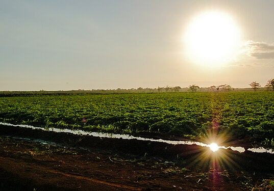 Reflections of the sun in the sky and in the furrow.