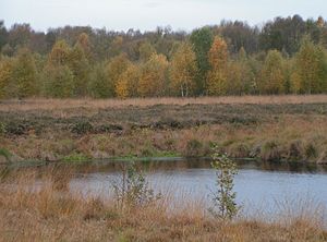 Geestmoor, view from the Moordamm