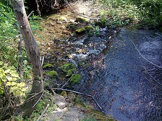 <span class="mw-page-title-main">Ralja (river)</span> River in Serbia