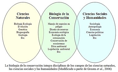 Rapporti della biologia della conservazione con altre discipline.jpg