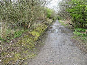 Überreste des Bahnsteigs und des Gleisbettes von Ketley - geograph.org.uk - 804810.jpg