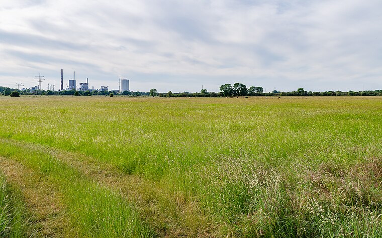 NSG Forschungsrevier im Orsoyer Rheinbogen