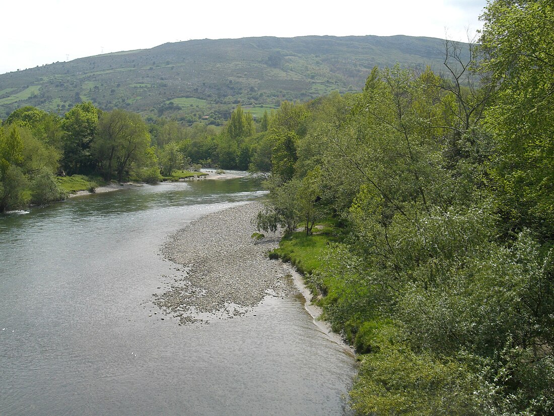 File:Rio cares deva.JPG