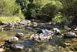 El riu Blanc o Barranc d'Espés és un afluent del riu Isàvena, situat en el municipi de Les Paüls (Ribagorça)