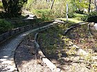 Rose garden in the old park