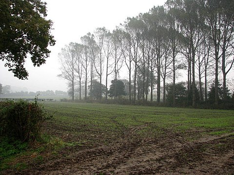 Drizzle in Norfolk, England.