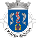 São João da Pesqueira arması