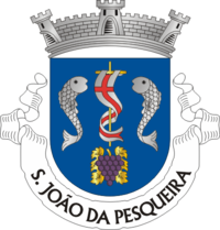 São João da Pesqueira