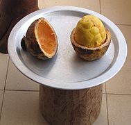 Saba senegalensis - fruit pulp.jpg