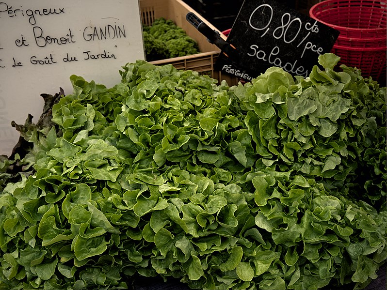 File:Salades de Périgneux.jpg