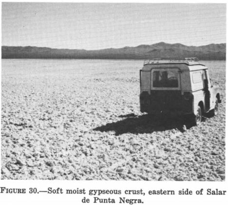 La huella de un vehículo da un indicio de la humedad existente en el salar Punta Negra