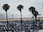 Santa Monica State Beach